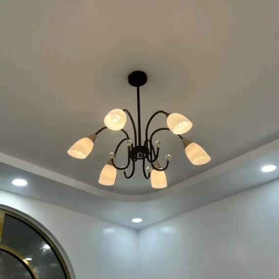Đèn thả thiết kế TTK11T6 1