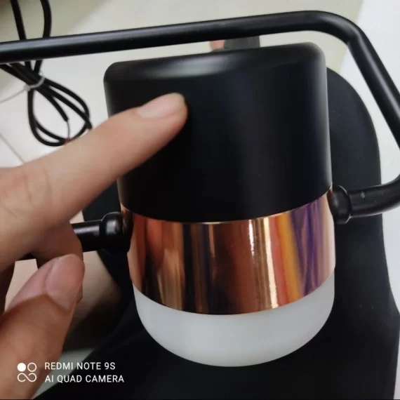 Đèn thả hiện đại THD63T1HONG 2