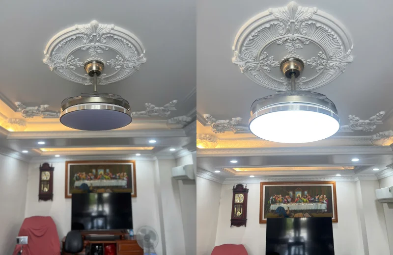 Ảnh cận Quạt Trần Đèn QT4256
