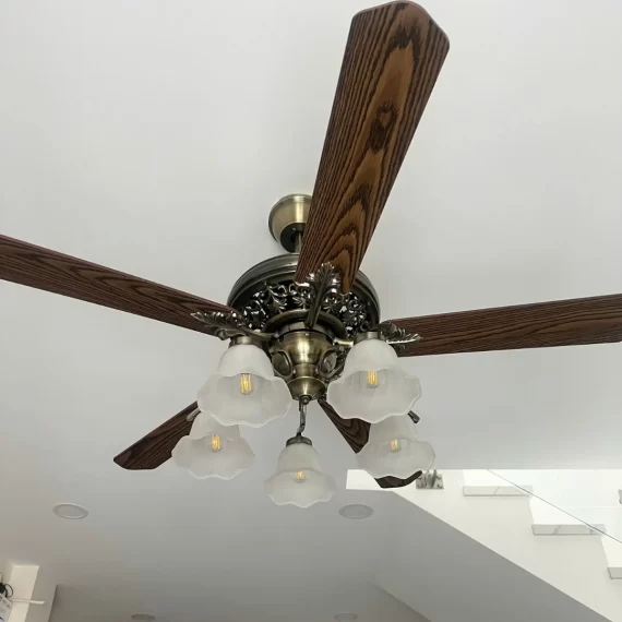 Quạt Trần Đèn QT5213 20