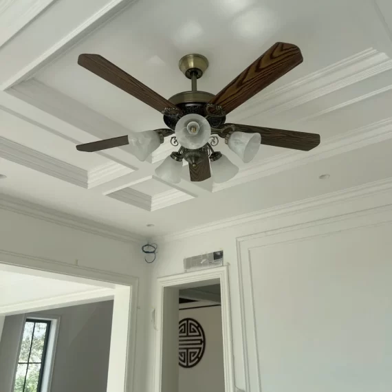Quạt Trần Đèn QT5214 24