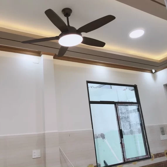 Quạt Trần Đèn QT5602 20