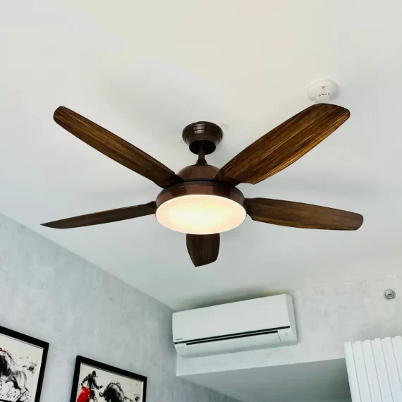 Quạt Trần Đèn QT5602 24