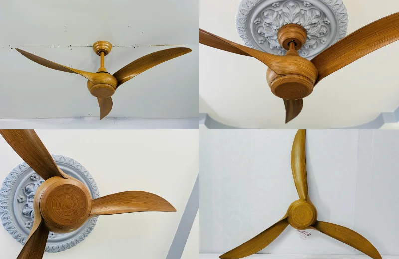 Ảnh cận Quạt Trần QT62