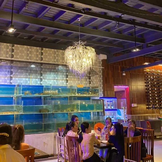 Đèn thả pha lê TPL908T800 2