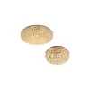 Đèn Ốp Trần Pha Lê OTPL578