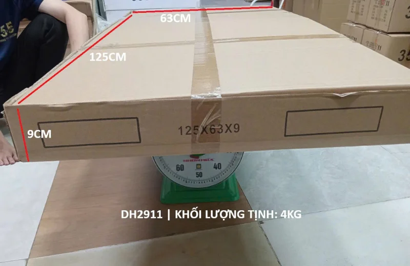 Kích thước Đồng Hồ DH2911
