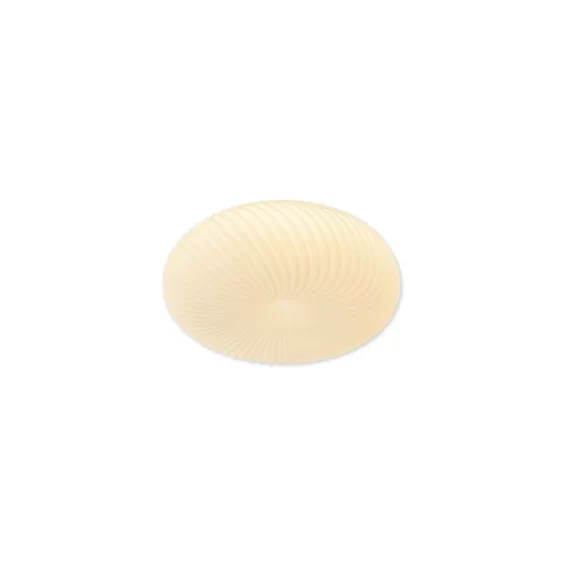 Đèn Ốp Trần Mica OT1100