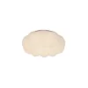 Đèn ốp trần mica OT1101