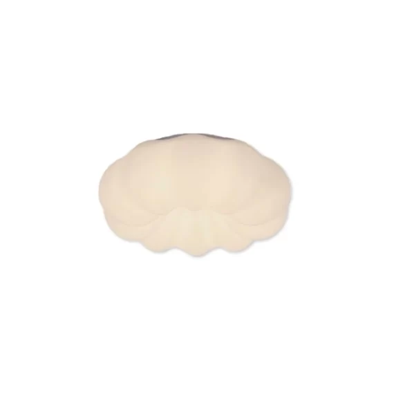 Đèn ốp trần mica OT1101