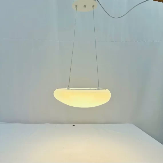 Đèn thả trần TT57 1