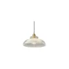 Đèn thả trần TT58