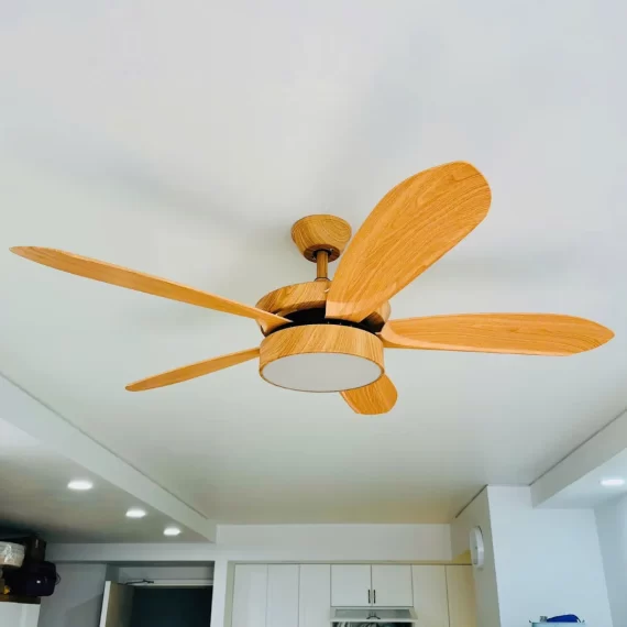 Quạt Trần Đèn QT33N 25