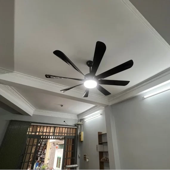 Quạt Trần Đèn QT35 2