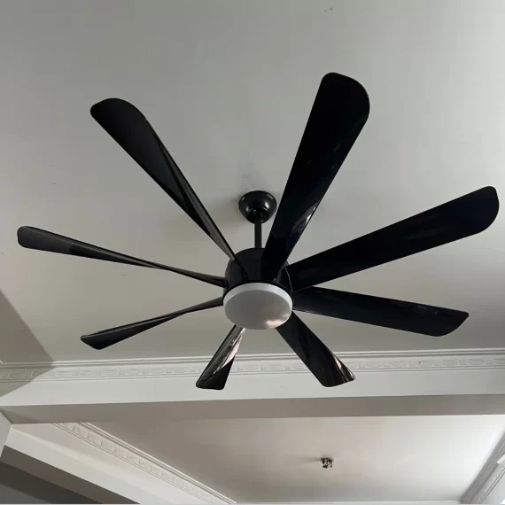 Quạt Trần Đèn QT35 3