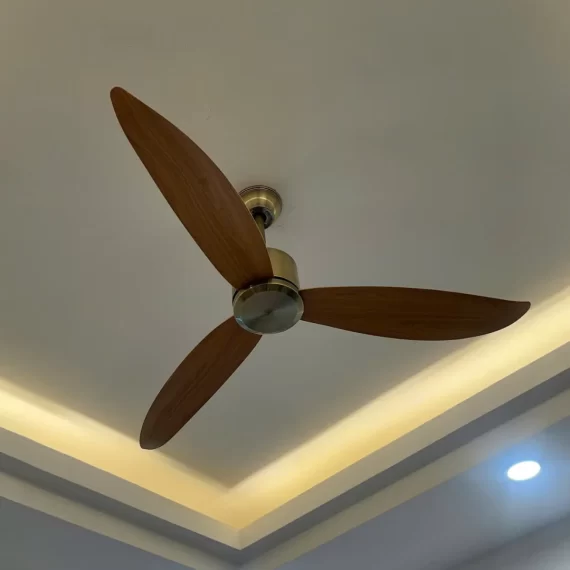 Quạt Trần QT37 22