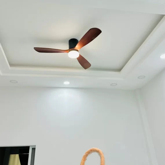 Quạt Trần Đèn QT41 22