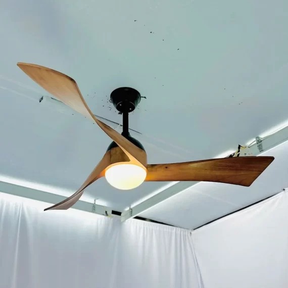 Quạt trần đèn QT52 1