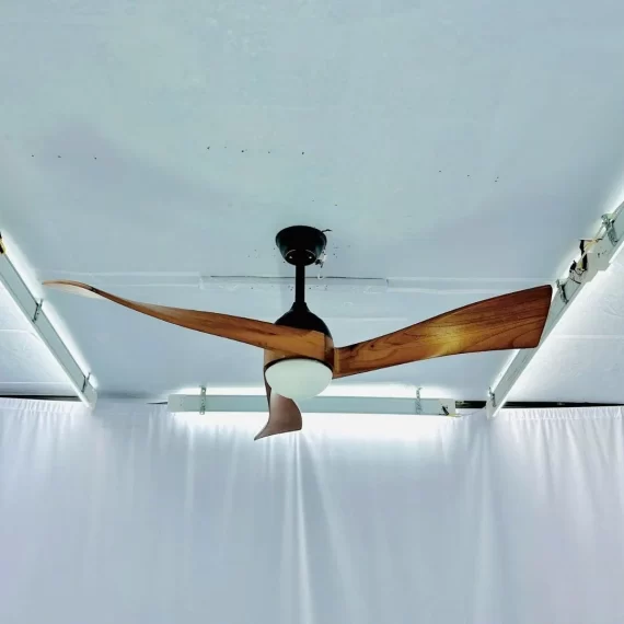Quạt trần đèn QT52 2