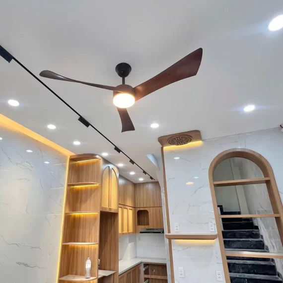 Quạt Trần Đèn QT53 22