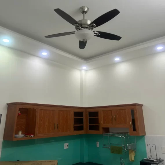 Quạt Trần Đèn QT57 29