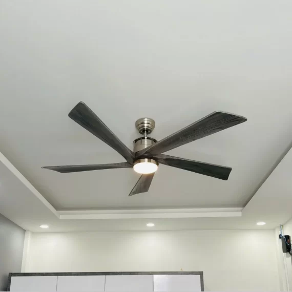 Quạt Trần Đèn QT60 1