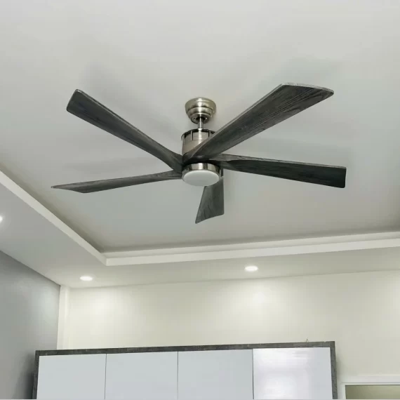Quạt Trần Đèn QT60 2