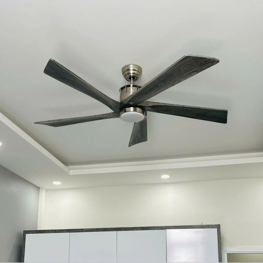 quat-tran-den-qt60-2 Quạt Trần Đèn QT60 2