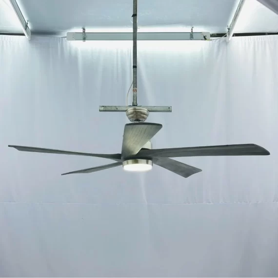 Quạt Trần Đèn QT60 3