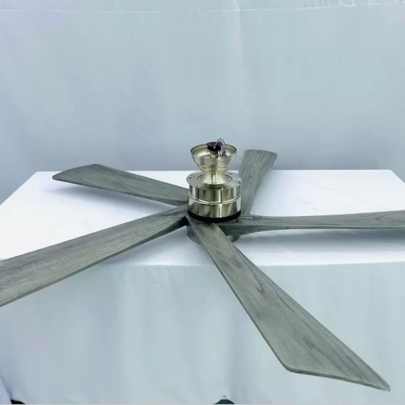 Quạt Trần Đèn QT60 4