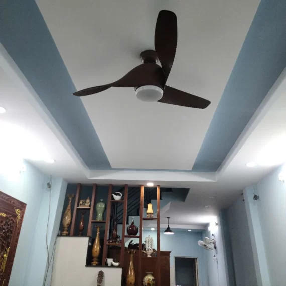 Quạt Trần Đèn QT61 20