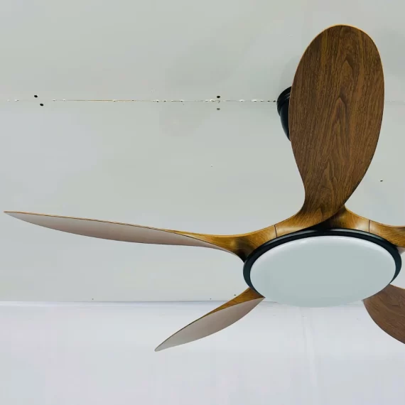 Quạt Trần Đèn QT70 22
