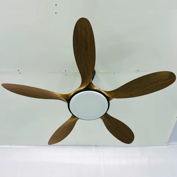 Quạt Trần Đèn QT70 26