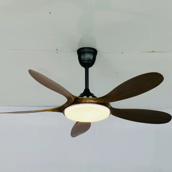 Quạt Trần Đèn QT70 27