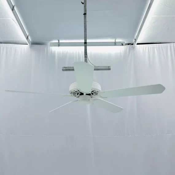 Quạt trần QT34E 1