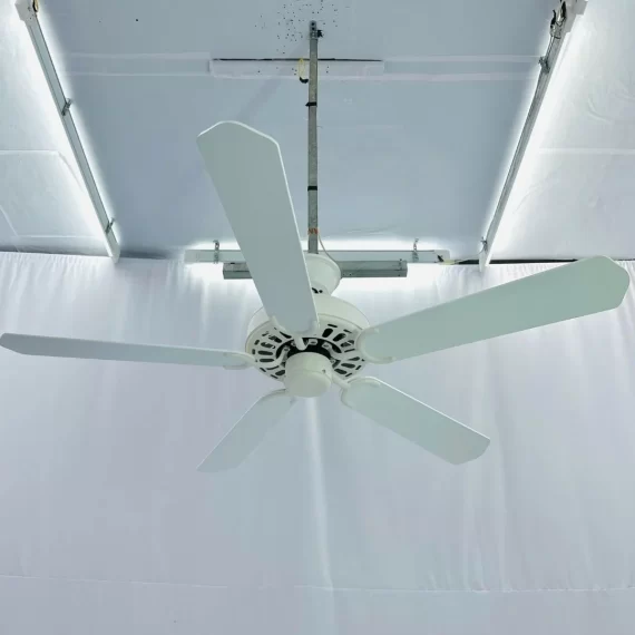 Quạt trần QT34E 2