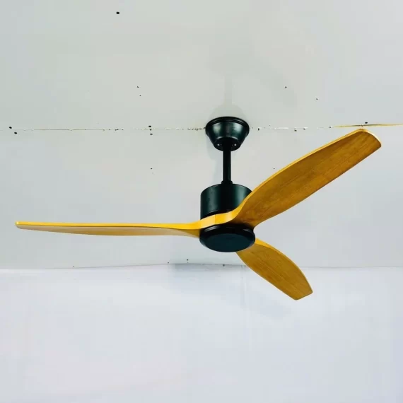 Quạt Trần QT5209 1