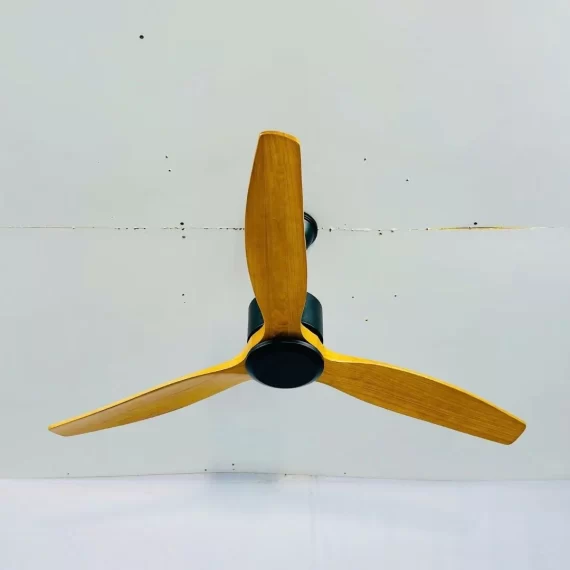 Quạt Trần QT5209 3