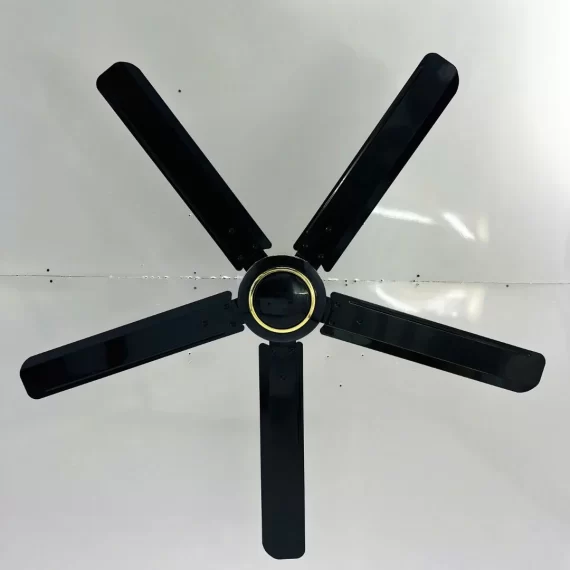 Quạt Trần QT55D 2