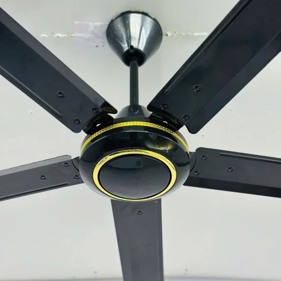 Quạt Trần QT55D 4