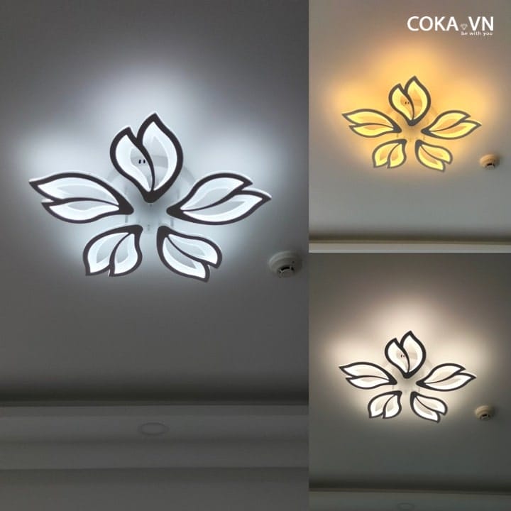 den-op-tran-mica-ot37t5-355decor4.jpeg