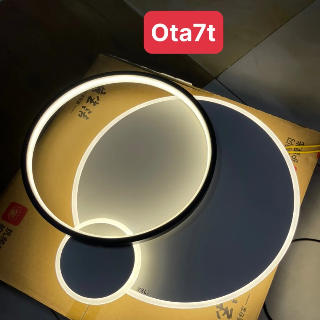 den-op-tran-mica-ota7-20.webp