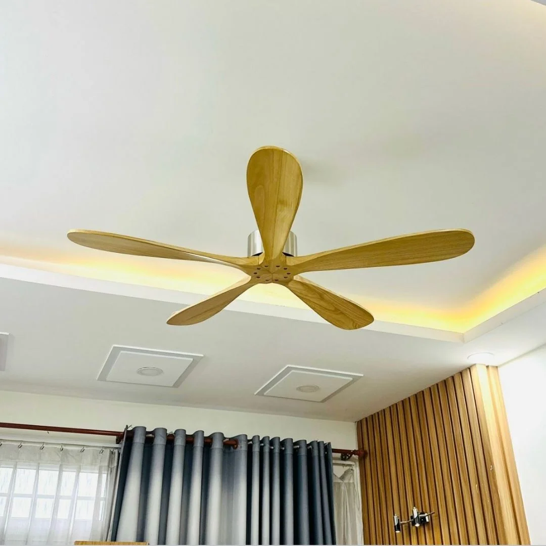 quat-tran-qt52154-1.webp