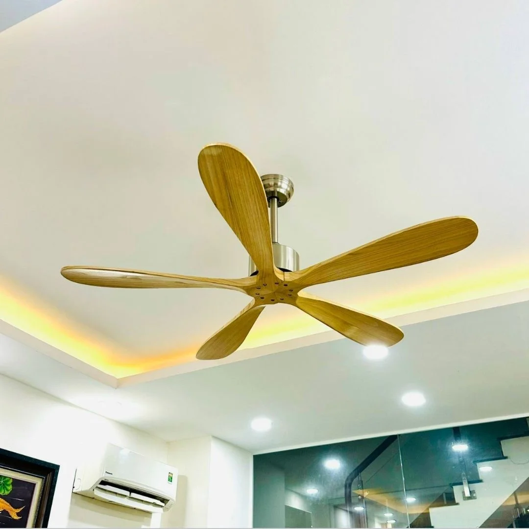 quat-tran-qt52154-2.webp